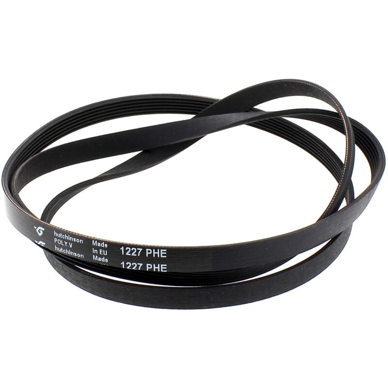 foto del prodotto cinghia 1227 h6, 49017435 per lavatrice proline