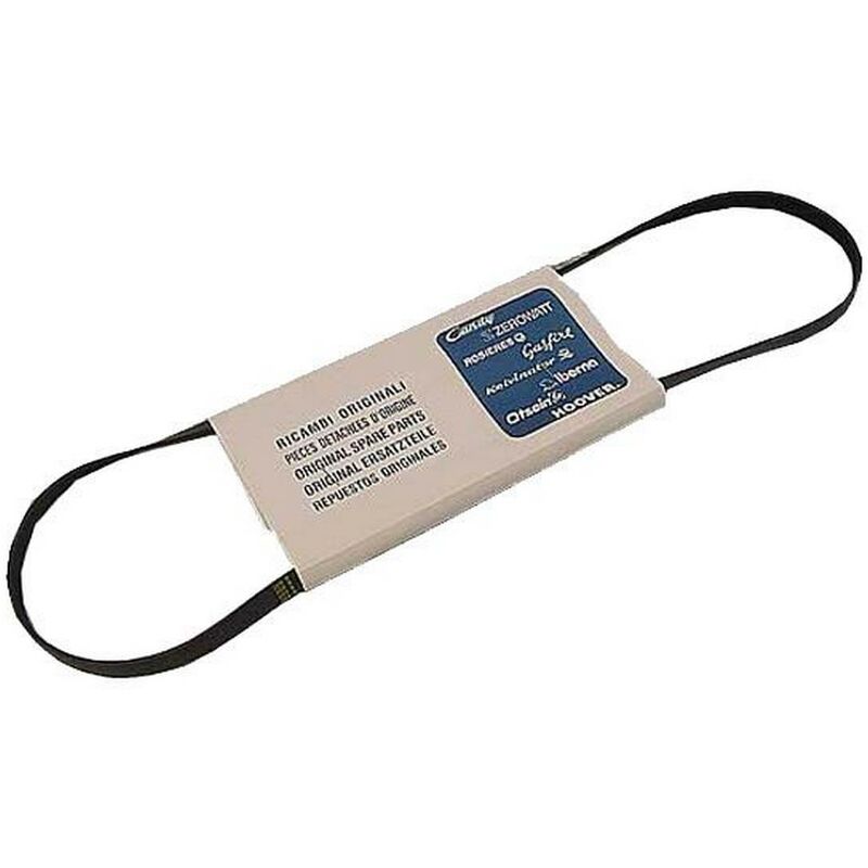 foto del prodotto cinghia 1231h poly v lavatrice candy 2248343662734073957
