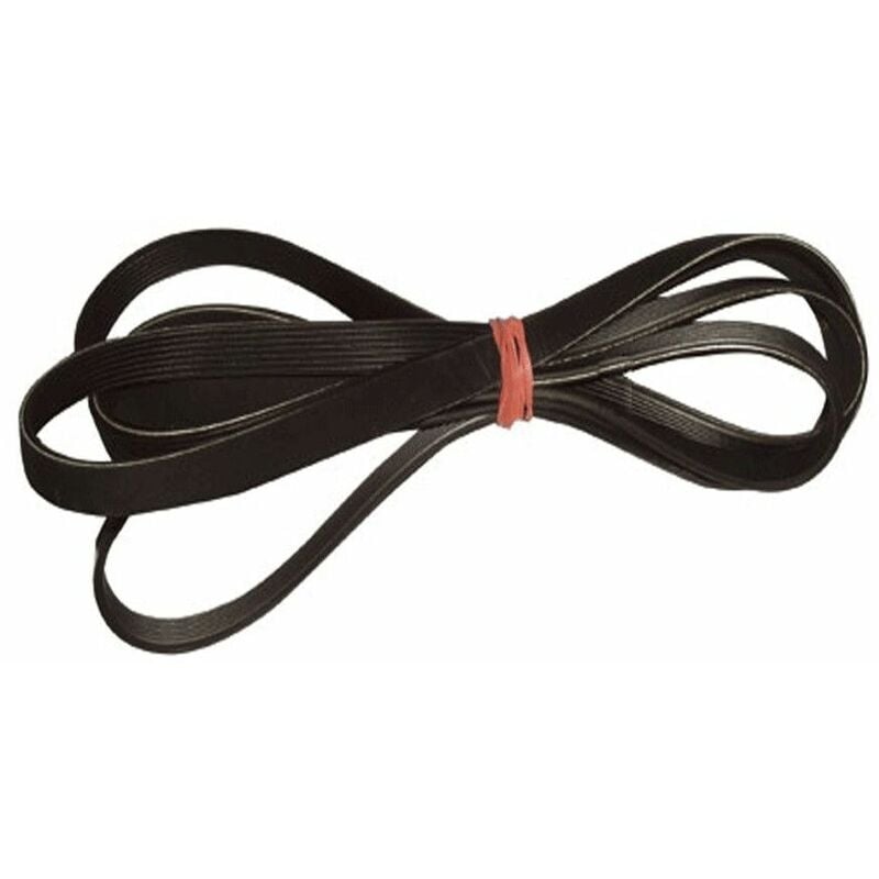 foto del prodotto cinghia 1970h7 - asciugatrice samsung 3363103662894177939