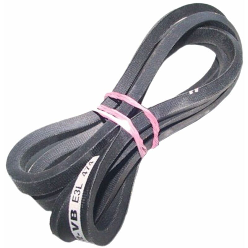 foto del prodotto cinghia 3l 474 lavatrice candy 310538