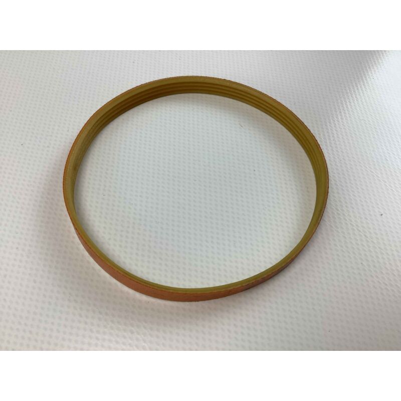 foto del prodotto cinghia affettatrice larghezza 310mm modelli tb2310 2204420