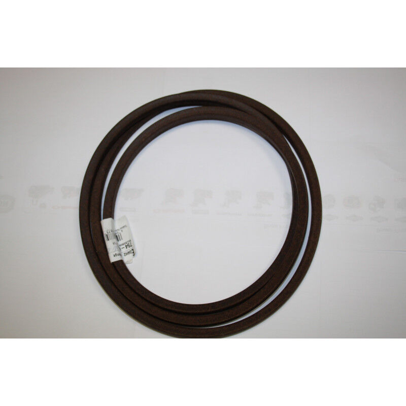foto del prodotto cinghia di trazione per trattore tosaerba mtd , club cadet, bianco 75404304, 754 04304
