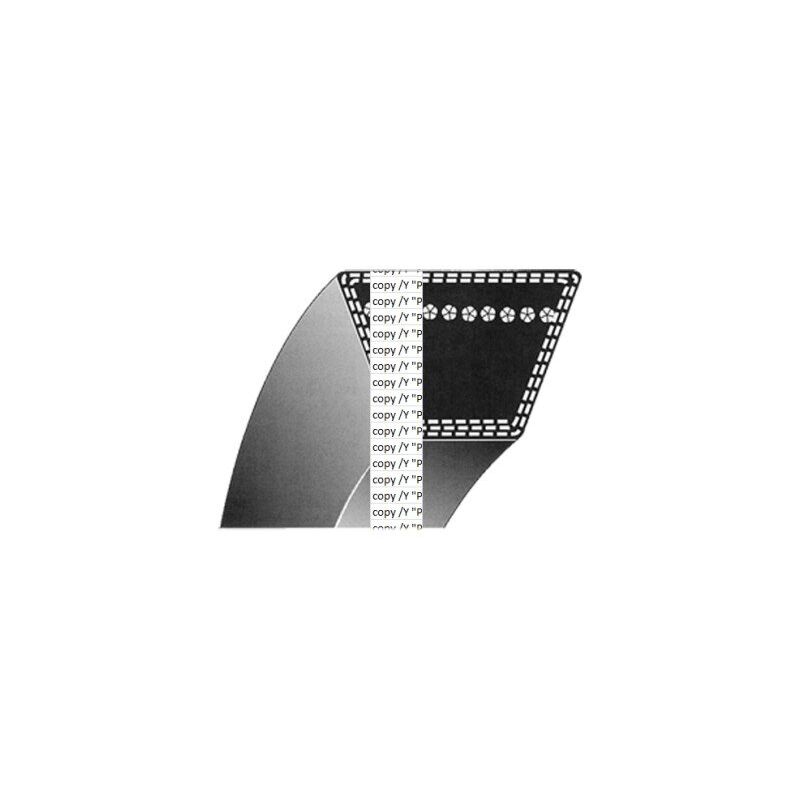 immagine 0 del prodotto cinghia trapezoidale per rasaerba progreen 035772