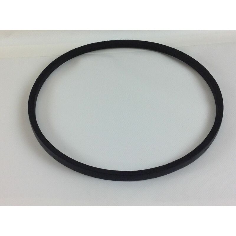 foto del prodotto cinghia trazione per rasaerba tagliaerba taurus 51 t 2012013