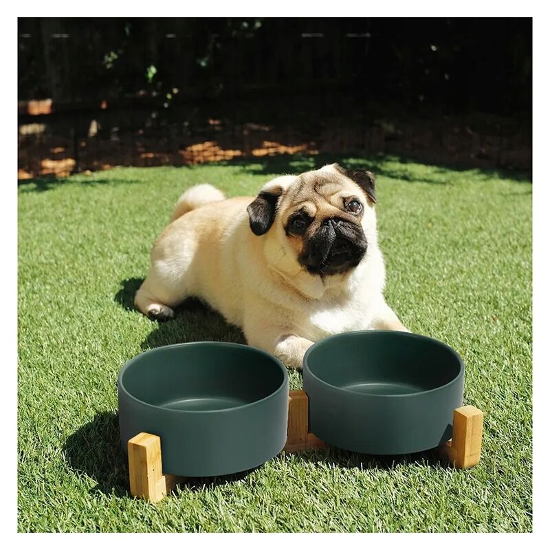 foto del prodotto ciotola doppia per cani e gatti in ceramica 2 x 400ml su supporto glamour