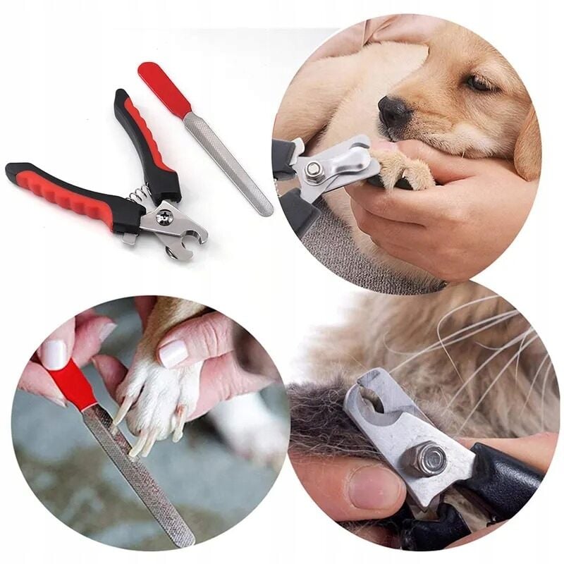 foto del prodotto ciotola per cani e gatti in metallo su supporto, viola glamour 0,4l 400ml