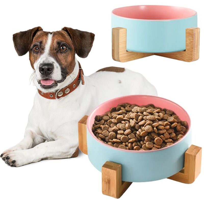 foto del prodotto ciotola per cani gatti animali pink blue 331578