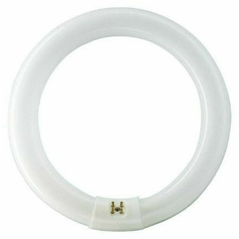 foto del prodotto circolina philips g10q 22w 840