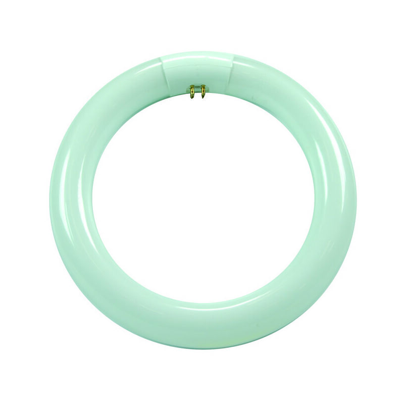 foto del prodotto circoline trifosforo fluorescenti t9 g10q 22w 6500 k fredda 1200 lm 210x30