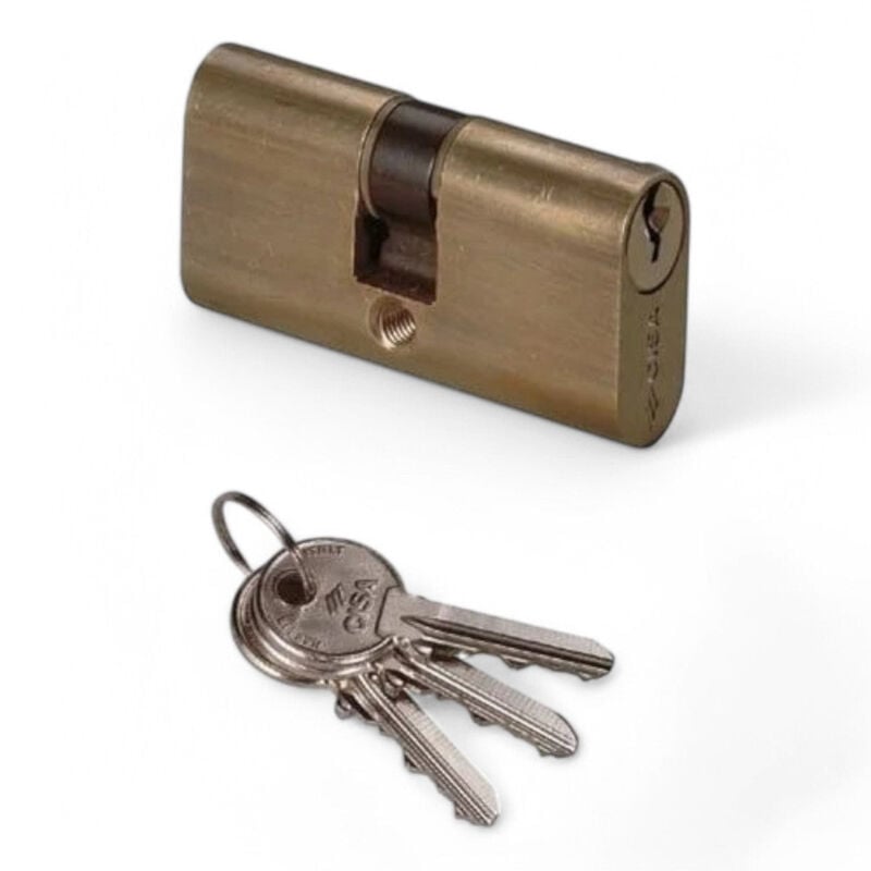 foto del prodotto cisa cilindro a infilare ovale in ottone con 3 chiavi sicurezza porte serrature affidabili 63 mm decentrato