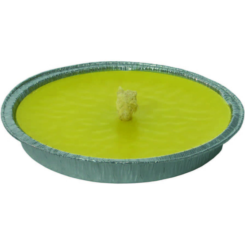 foto del prodotto citronella grande in ciotola di alluminio cm.16x2h.