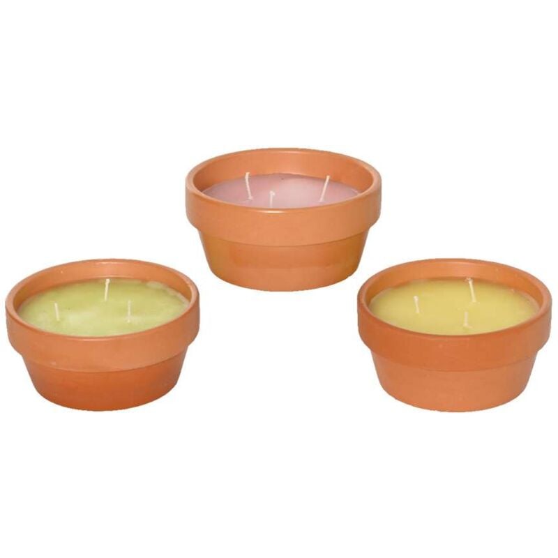 foto del prodotto citronella in vasetto di terracotta