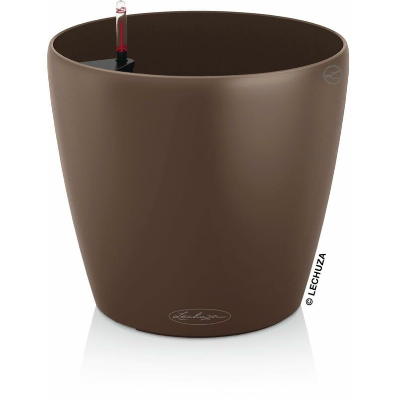 foto del prodotto classico color 28 noce moscata 13203 - lechuza