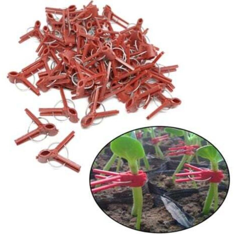 foto del prodotto clip per innesto pomodoro, clip per innesto piantine, clip per innesto melanzane, 100 pezzi, clip per innesto a bocca tonda - lablanc