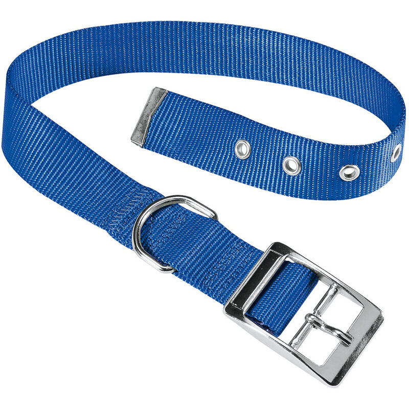 foto del prodotto club cf collare in nylon con fibbia di chiusura in metallo in vari colori e misure. variante cf15 35 misure a 27 35 cm b 15 mm blu ferplast