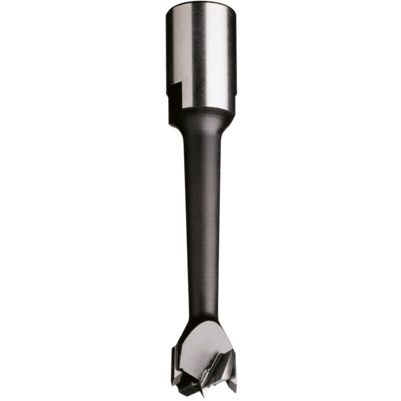foto del prodotto cmt 164.200.11 punta a forare x cavatrice hw z2 2 s m12x1 d 20x100 dx