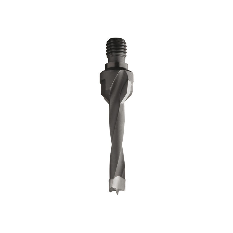 foto del prodotto cmt 325.050.12 punta att filettato f cieco c svas. hw s m10 11 d 5x20 sx