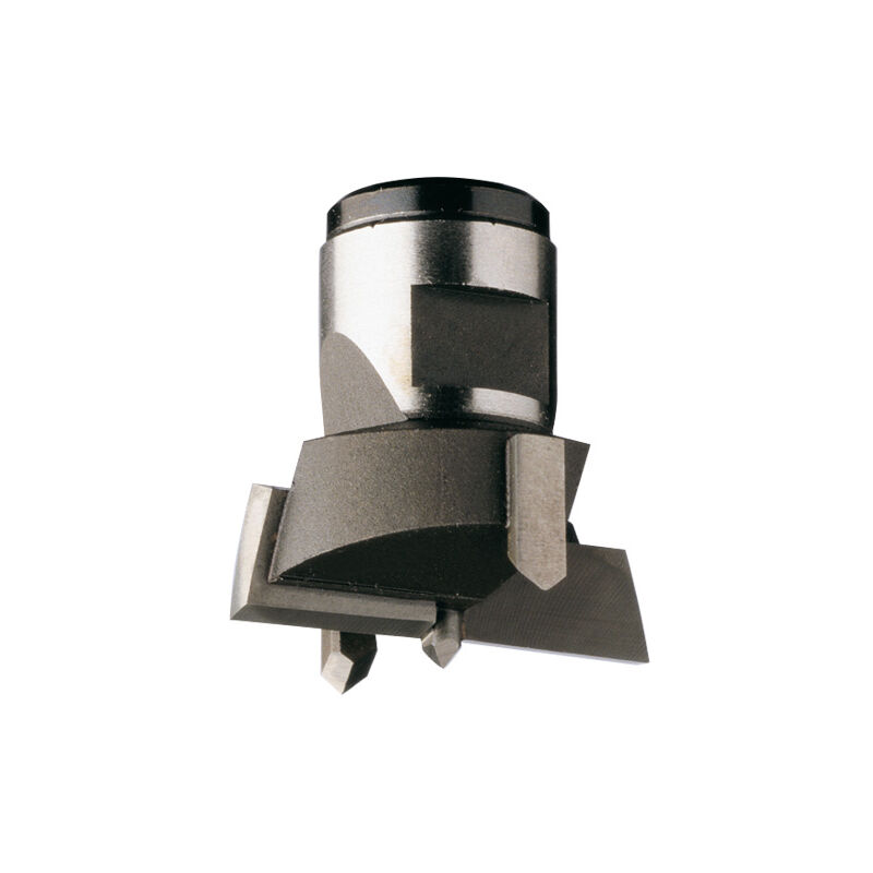 foto del prodotto cmt 501.360.12 punta intercambiabile hw z2 2 s m12x1 d 36x30 sx
