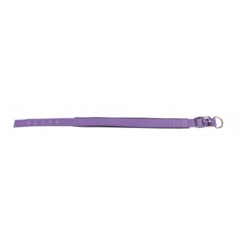 foto del prodotto collar comfort lilla 25mm x 55 cm