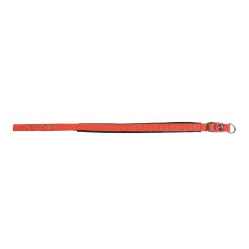 foto del prodotto collar comfort rosso 25mm x 55 cm