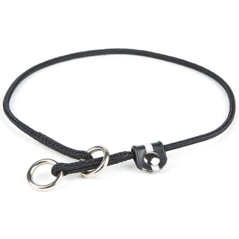 foto del prodotto collare julius k9 da addestramento con blocco di sicurezza per cani 60 cm x 0,35 cm collare