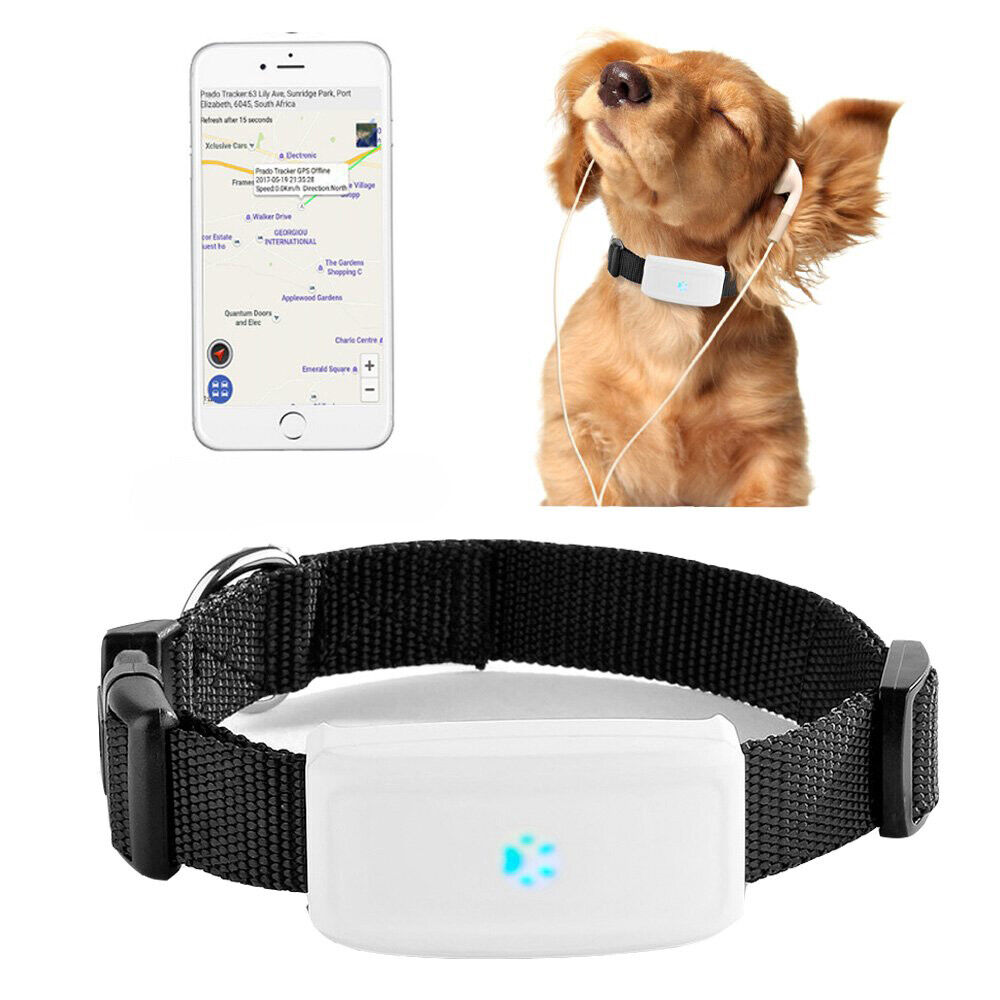 foto del prodotto collare localizzatore gps gsm tracker per animali cane gatto con collare