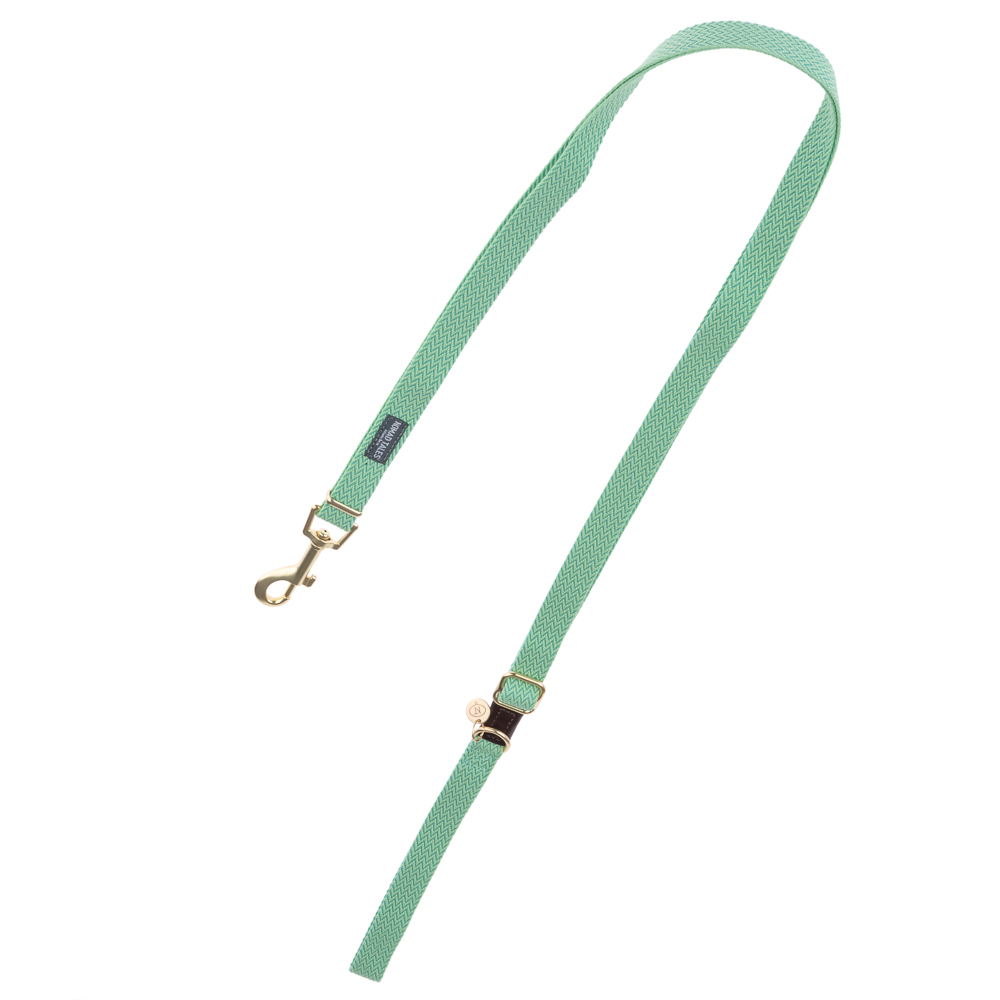 foto del prodotto collare nomad tales bloom, menta guinzaglio compatibile l 200 cm x h 20 mm