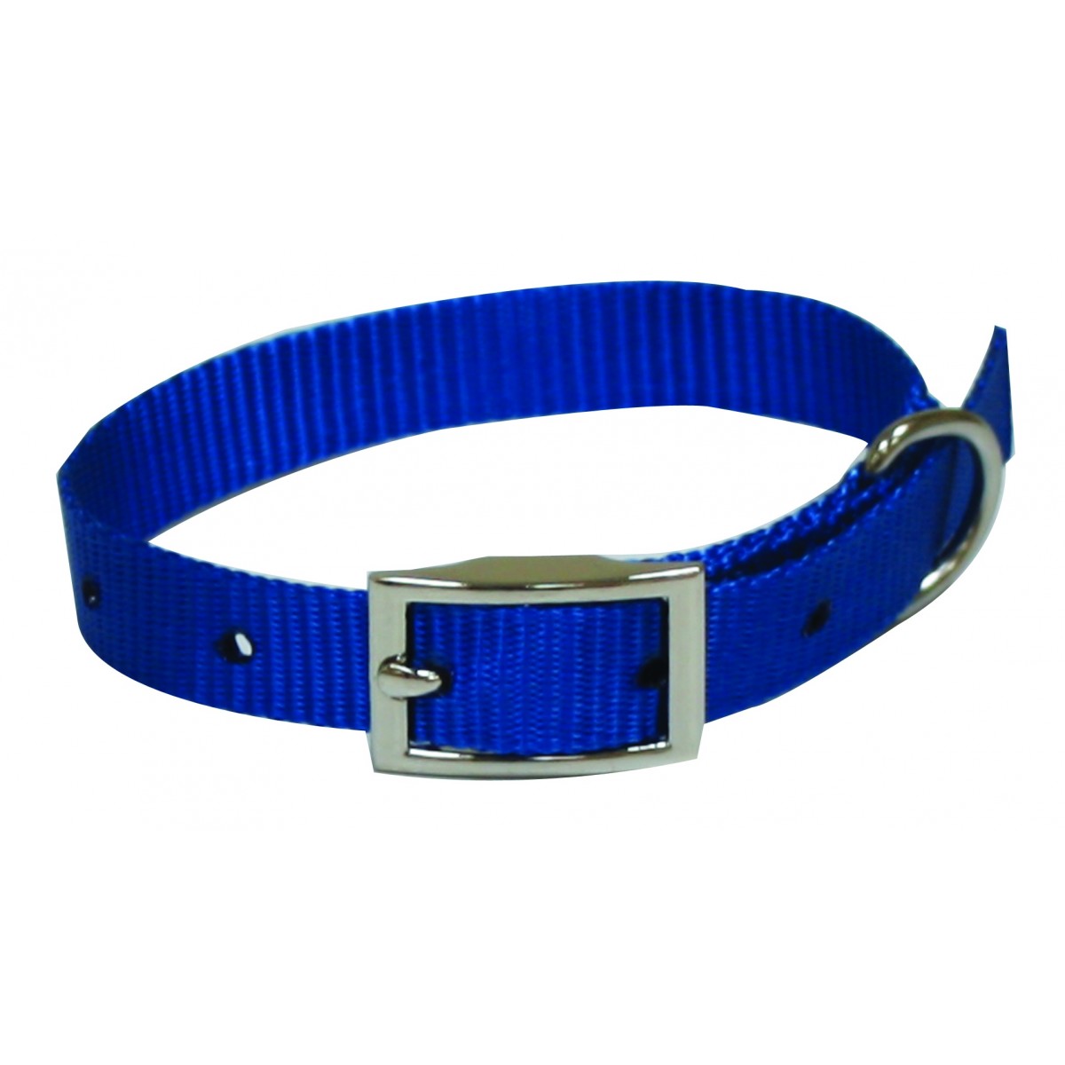 foto del prodotto collare nylon 10x330 blu