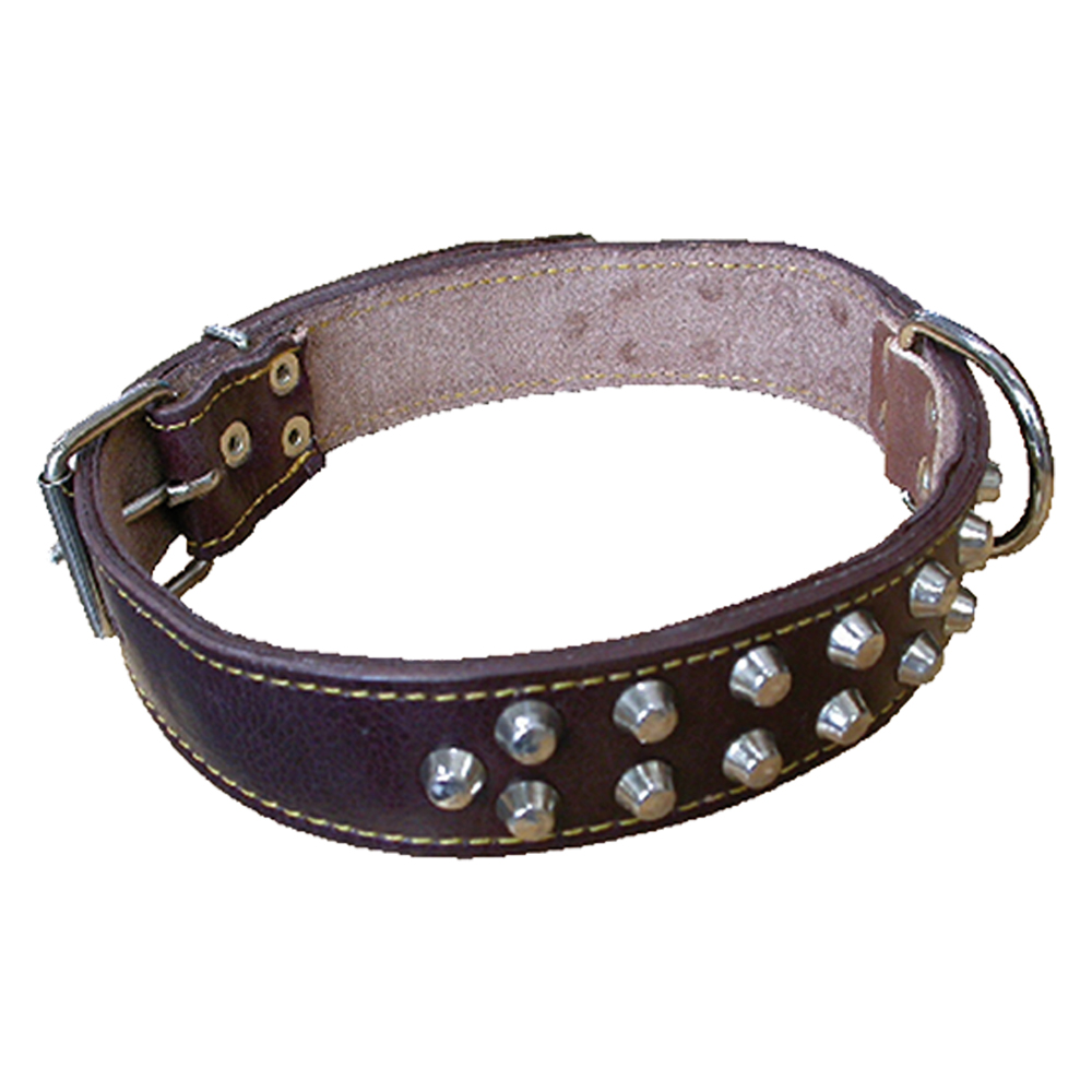 foto del prodotto collare per cane larg. mm 40 lung. cm 70 nuova cuoio