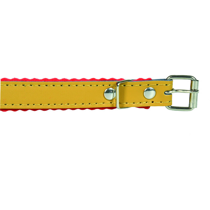 immagine 0 del prodotto collare per cani cuoio foderato cm.37x1,6