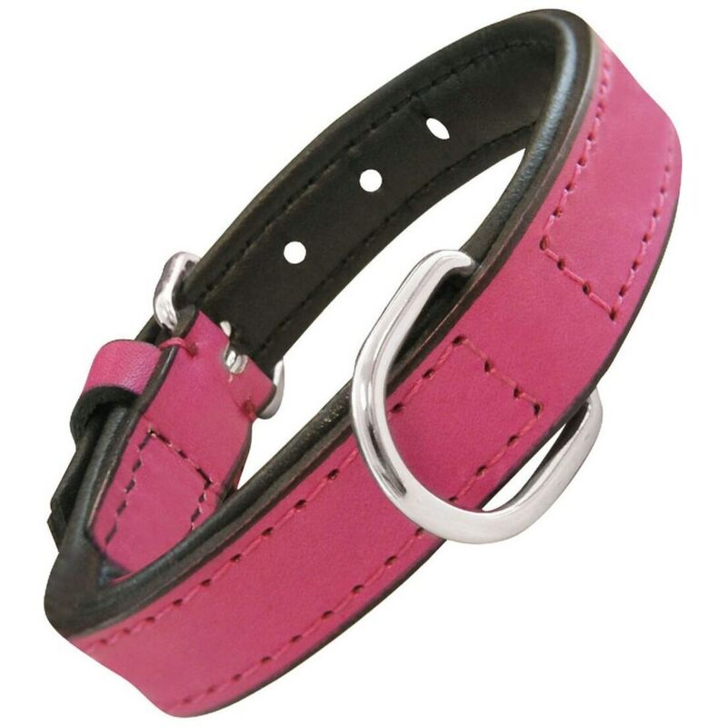 foto del prodotto collare per cani gloria trapunta fucsia 30 x 1,5 cm 