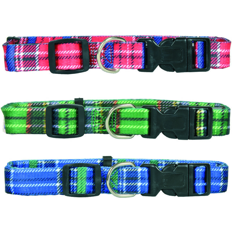 foto del prodotto collare per cani in nylon cm.48 70x2,5