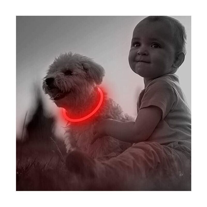foto del prodotto collare per cani led ricaricabile tramite usb per la sicurezza notturna collare luminoso alla moda per cani di taglia piccola, media e grande 1