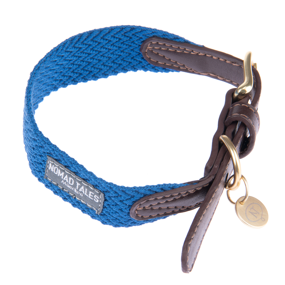 foto del prodotto collare per cani nomad tales bloom, zaffiro tg. l circonferenza 46 52 cm x h 38 mm