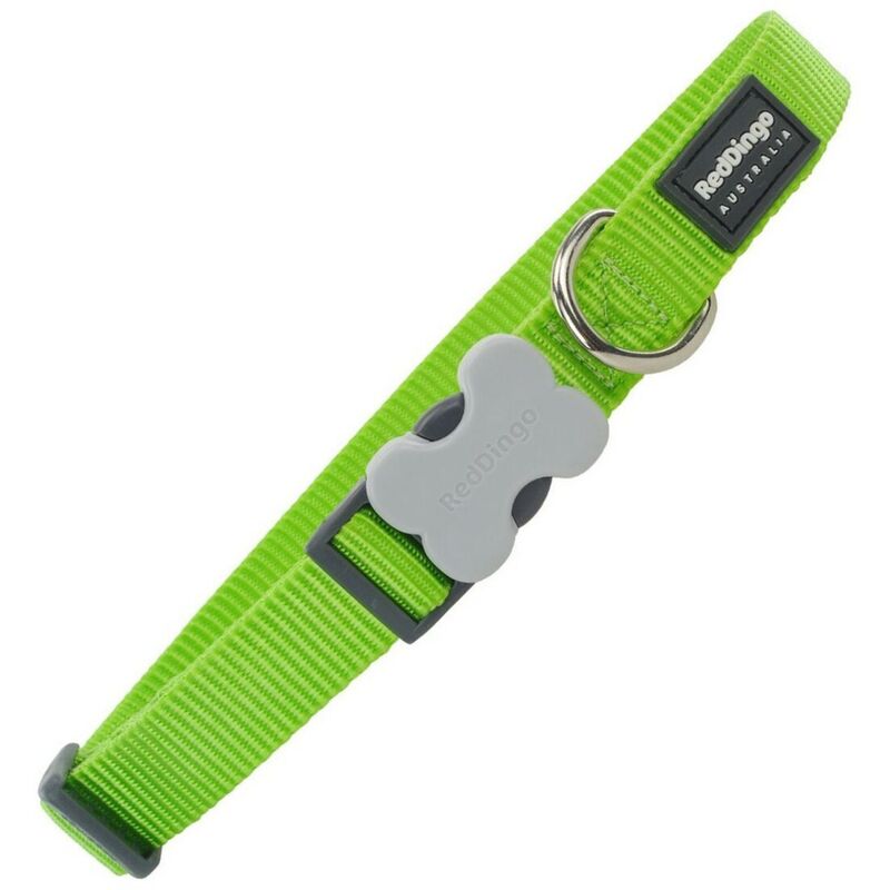 foto del prodotto collare per cani red dingo lime 1,2 x 20 32 cm 