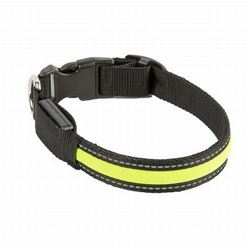 foto del prodotto collare reflector led giallo 34-41cm - croci
