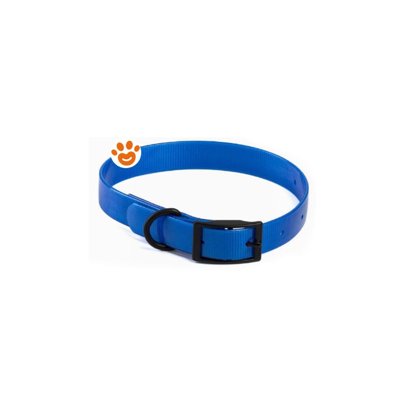foto del prodotto collare riflettente in biothene collare riflettente in biothene blu, 2 x 50 cm leopet