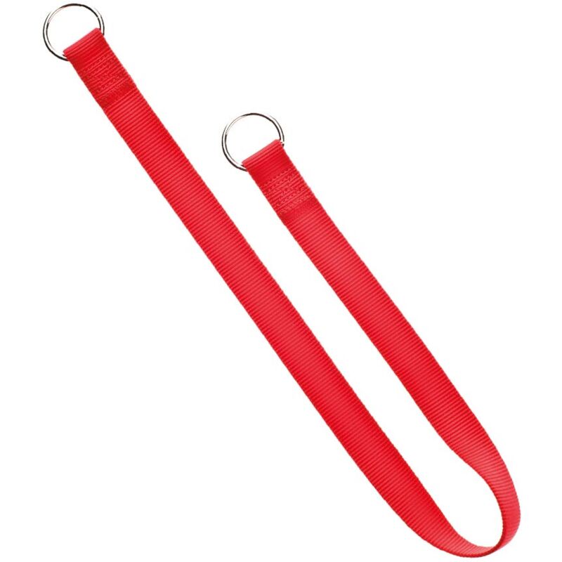foto del prodotto collare strozzo in nylon antigraffio per cane collare 2,5x75 cm nero