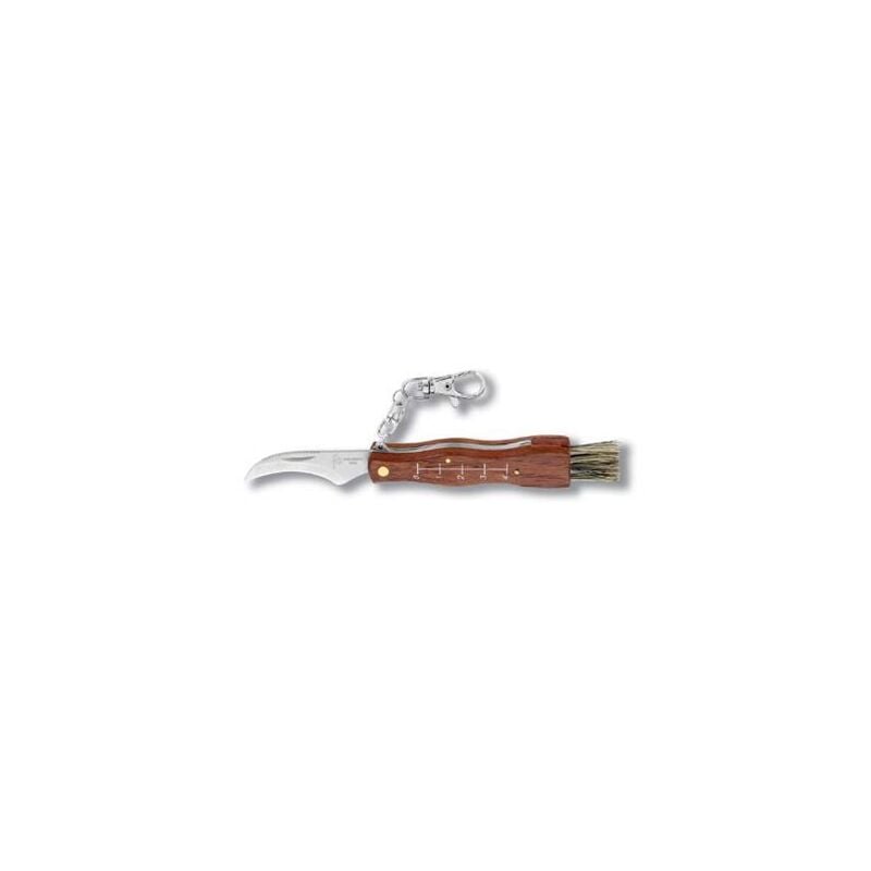 foto del prodotto coltello per raccolta funghi in acciaio inox da 80 mm con moschettone per appenderlo