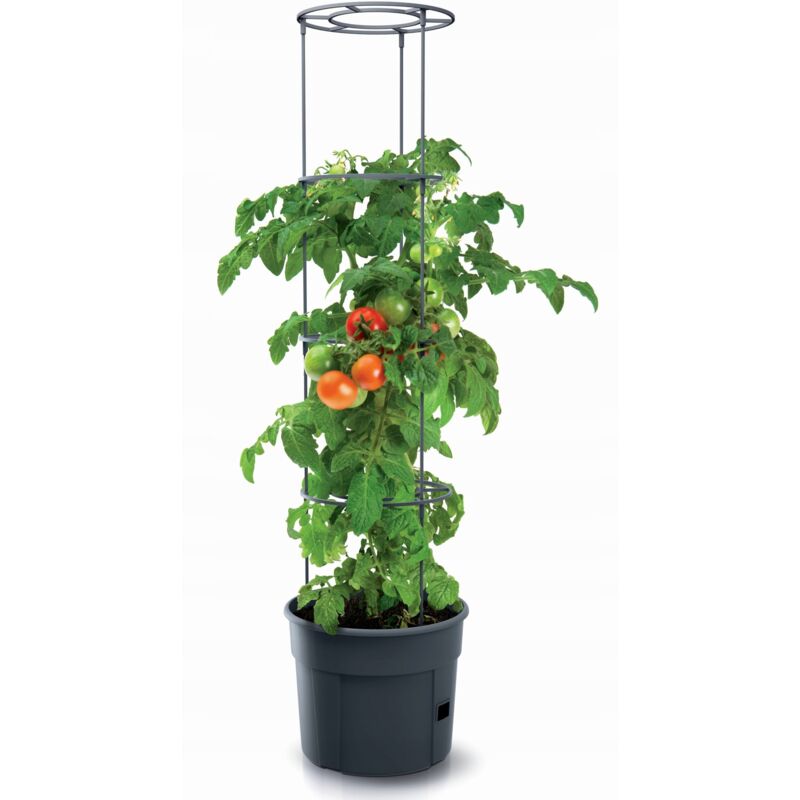 foto del prodotto coltivatore di pomodori in vaso rotondo da 300 litri