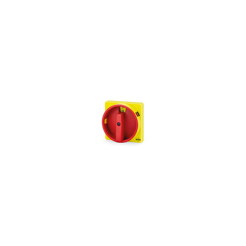 foto del prodotto comando frontale lucchettabile ip65 standard 67x67mm y2 emergenza giallo rosso type 1, 4, 4x