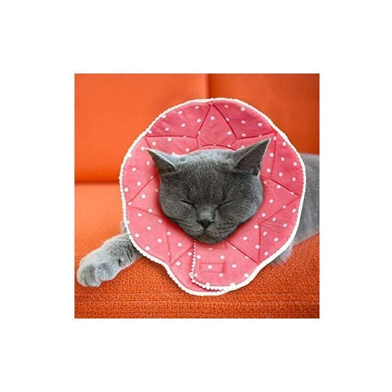 foto del prodotto comodo collare post operatorio per gatti e cani, resistente, impermeabile, antigraffio e anti morso, facile da pulire, con chiusura regolabile