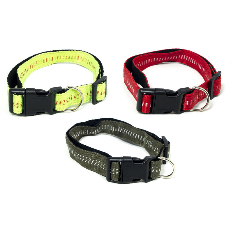 foto del prodotto comodo e resistente collare per cani regolabile modello color doggy, misuralcoloreverde