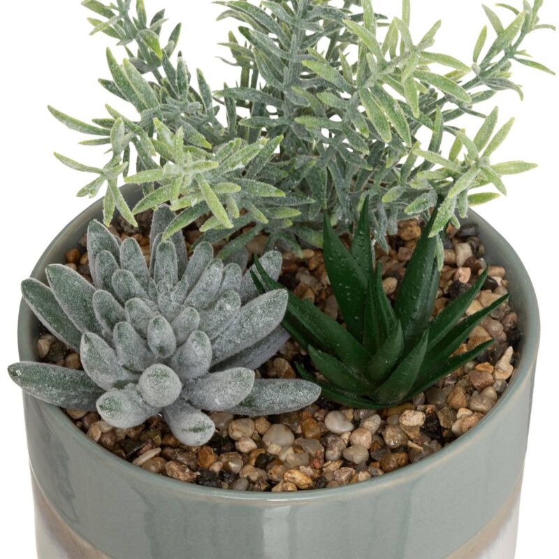 foto del prodotto composizione vegetale in vaso di ceramica h18,5 cm atmosphera cr ateur d int rieur