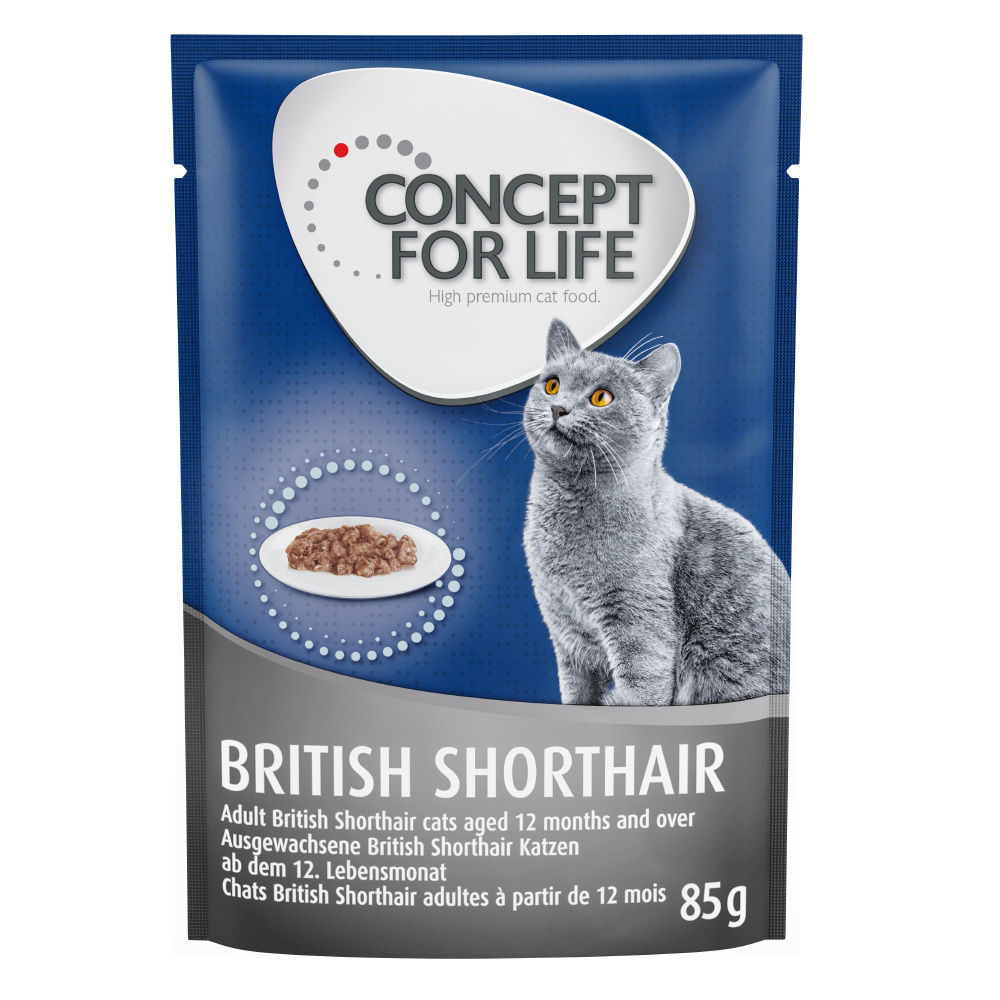 foto del prodotto concept for life british shorthair adult ricetta migliorata umido a completamento 12 x 85 g concept for life british shorthair adult