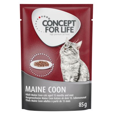 foto del prodotto concept for life maine coon adult ricetta migliorata umido a completamento 12 x 85 g concept for life maine coon adult