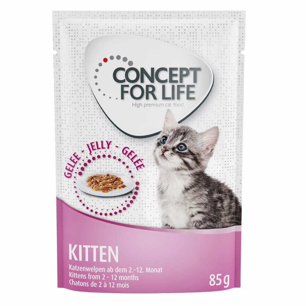 foto del prodotto concept for life maine coon kitten ricetta migliorata umido a completamento 12 x 85 g concept for life kitten in gelatina