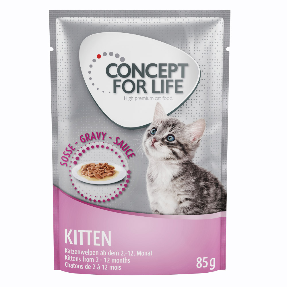 foto del prodotto concept for life maine coon kitten ricetta migliorata umido a completamento 12 x 85 g concept for life kitten in salsa