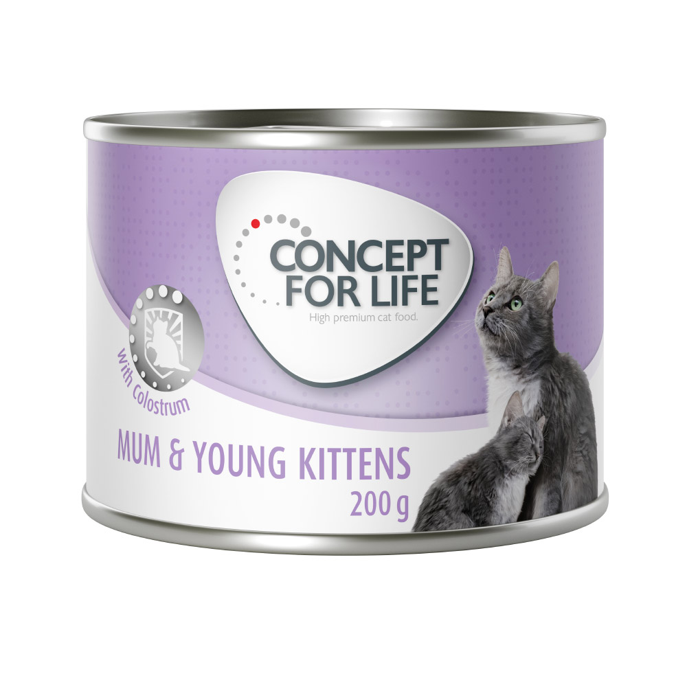 foto del prodotto concept for life mum young kittens mousse alimento umido per gatti 6 x 200 g