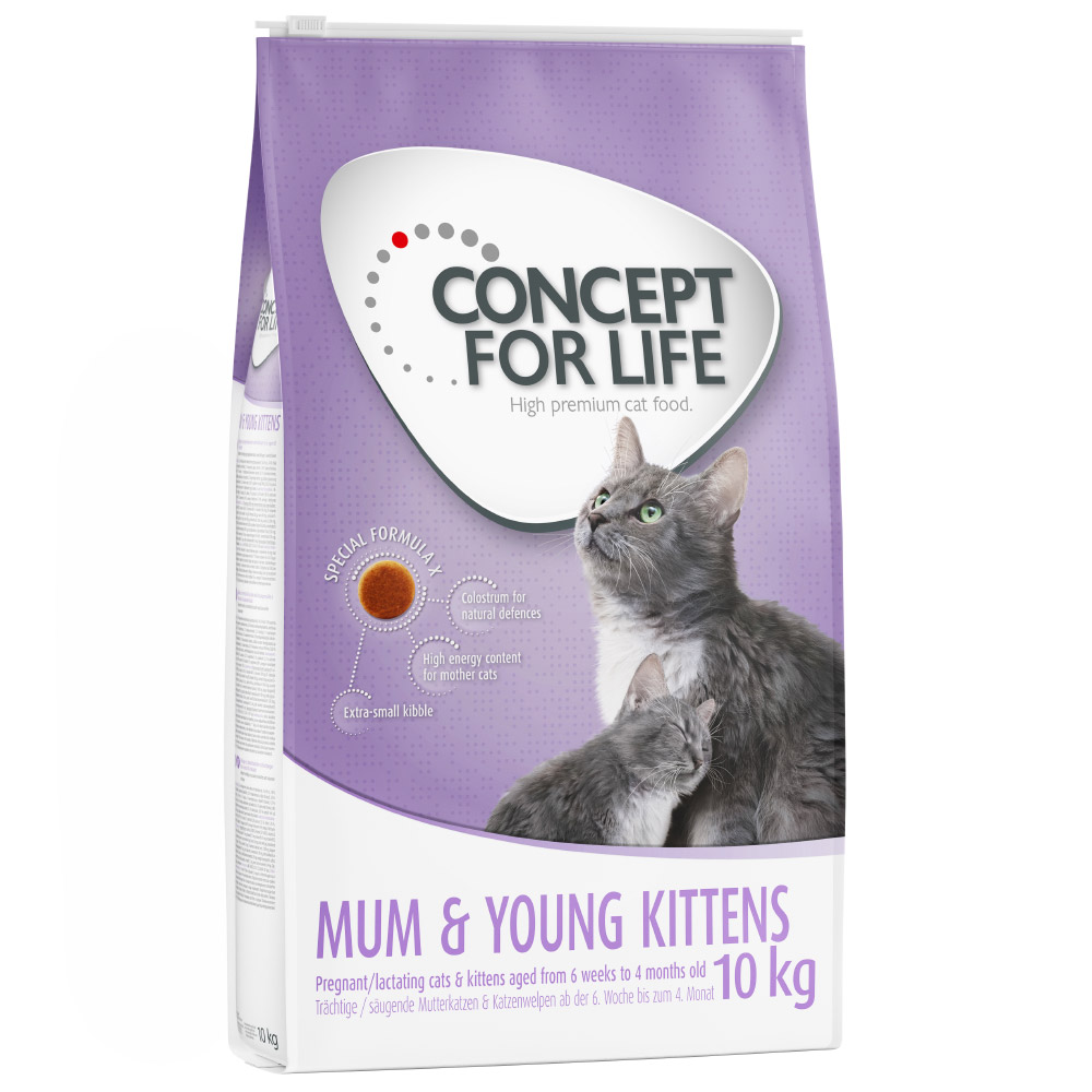 foto del prodotto concept for life mum young kittens ricetta migliorata 10 kg